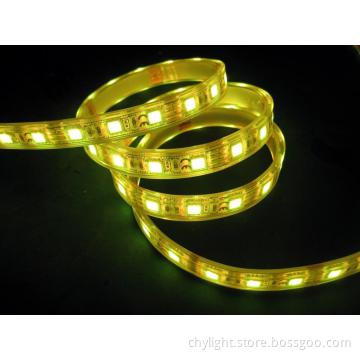 Flexible LED Strip  Waterproof  Whole Injection SMD5050